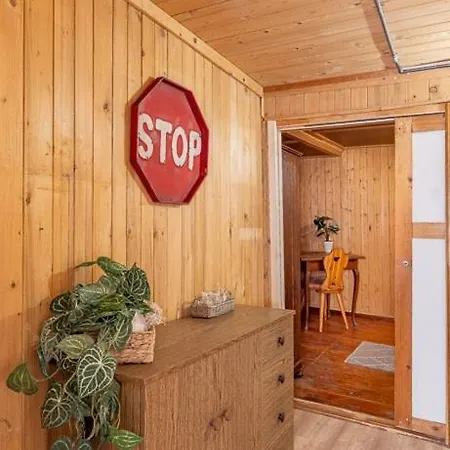 Authentic Swiss Farm In The Alps Fireplace Brienzwiler
